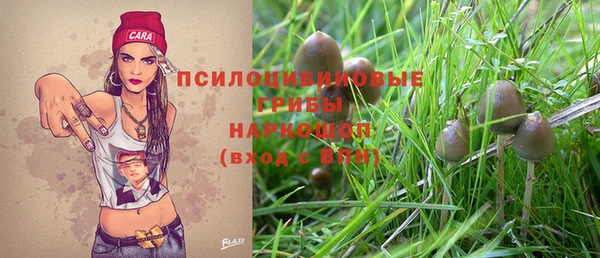 амф Нефтегорск