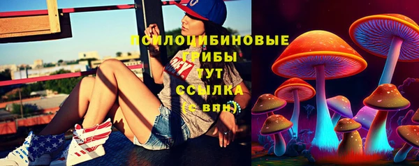 гашик Лабытнанги