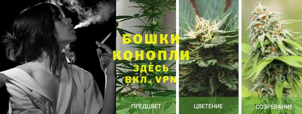 дживик Нефтекумск