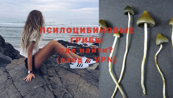амф Нефтегорск